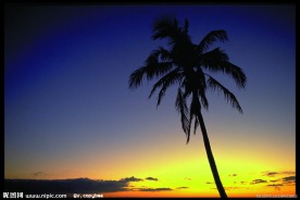 夕阳下的黄昏