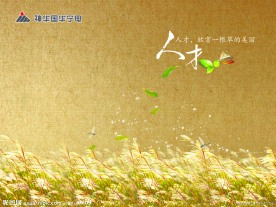 神华国华宁电器