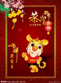 2010虎年
