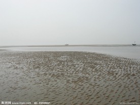 赶海