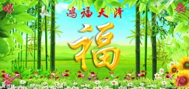 竹子图片