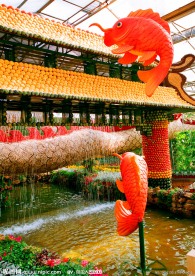 鲤鱼跳龙门