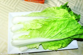 蔬菜 毛白菜