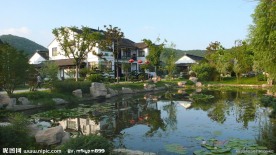 新农村