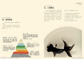企业宣传画册