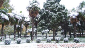 焦作市 人民公园 雪景