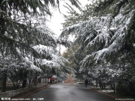 焦作市 人民公园 雪景