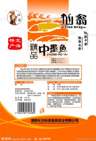 仙翁 鲨鱼肚背面