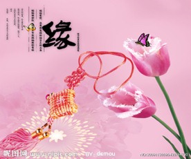 缘来于此(分层不精细)