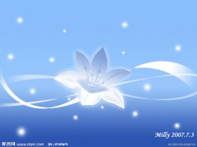 梦幻百合花