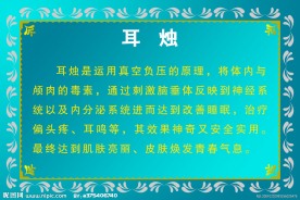 美容项目