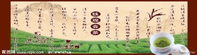 铁观音茶背景