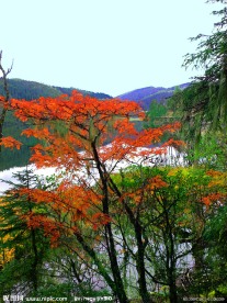 属都湖
