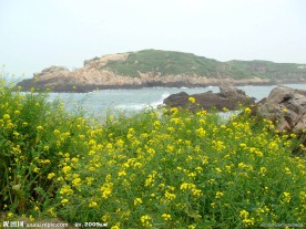 风景画