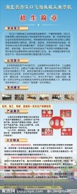 招生易拉宝