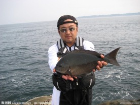 钓鱼 鲫鱼 鲤鱼 休闲 垂钓