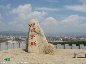中国茶城
