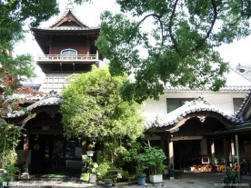 日本风景 河流 小桥人家 农庄 大树