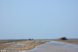 黄海滩涂