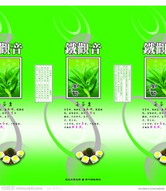 铁观音