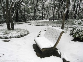 公园冬景