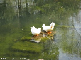 春意