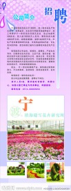 招聘展架