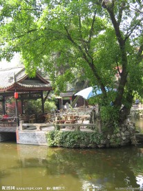 夏日风景