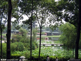 夏日风景