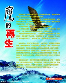 鹰的再生