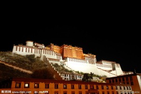 布达拉宫夜景
