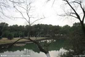 自拍的高清公园风景冬季的湖边小树