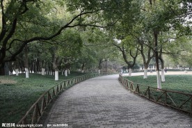 自拍的高清公园风景小径