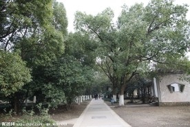 自拍的高清公园小径风景