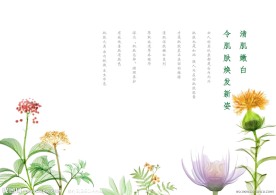 化妆品宣传册