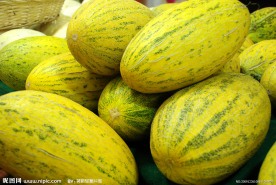 哈密瓜