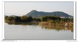 江南水乡风光