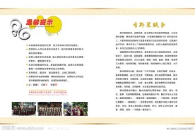 诗林寨封2封3设计