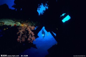 水底世界 海底世界 海洋 鱼