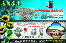 房地产广告