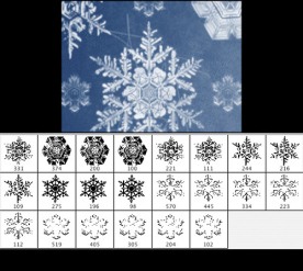 雪花晶体ps笔刷