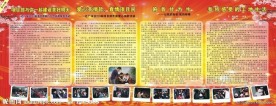 企业宣传栏