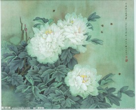 玉质无暇退浮华