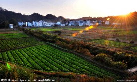 美丽新农村
