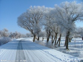 塞北雪