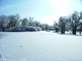 塞北雪景