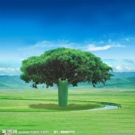 环保电池