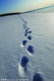 雪上脚印