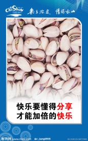 企业文化模板6