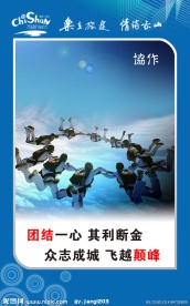 企业文化模板14